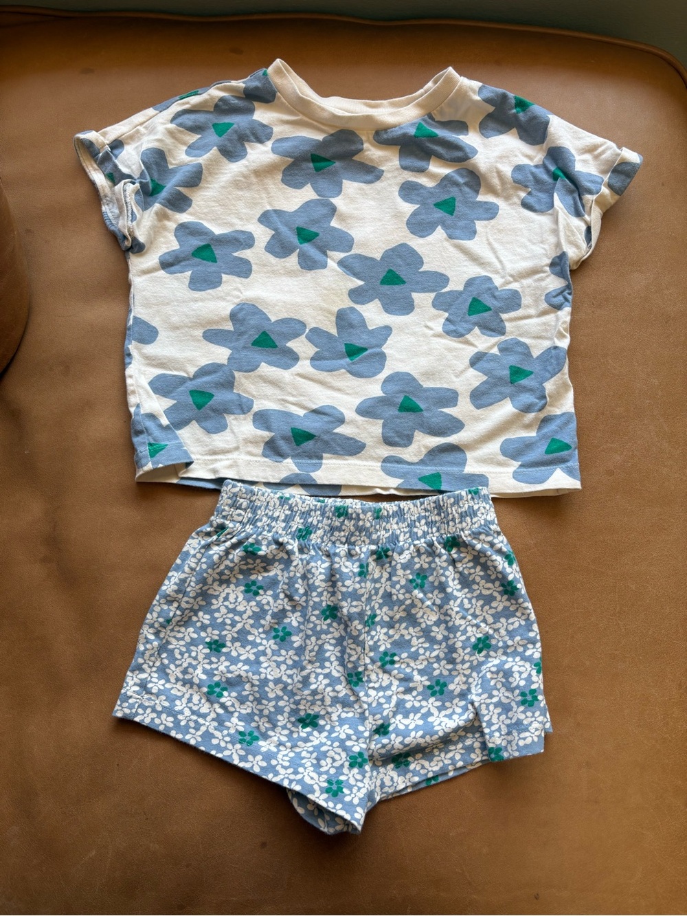 Hanna Andersson Floral T-Shirt and Shorts set
